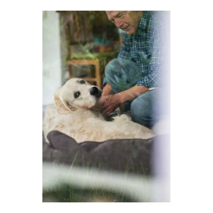 Dog Sofa Hunter Boston Brown (60 x 50 cm) - Домашни Животни<<<Дом Градина<<<BigBuy&&&Къщички и легълца<<<Домашни
