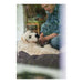 Dog Sofa Hunter Boston Brown (60 x 50 cm) - Домашни Животни<<<Дом Градина<<<BigBuy&&&Къщички и легълца<<<Домашни