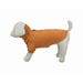 Dog Sweatshirt Trixie Amsterdam Orange M - Домашни Животни<<<Дом Градина<<<BigBuy&&&Пътуване и разходки<<<Домашни