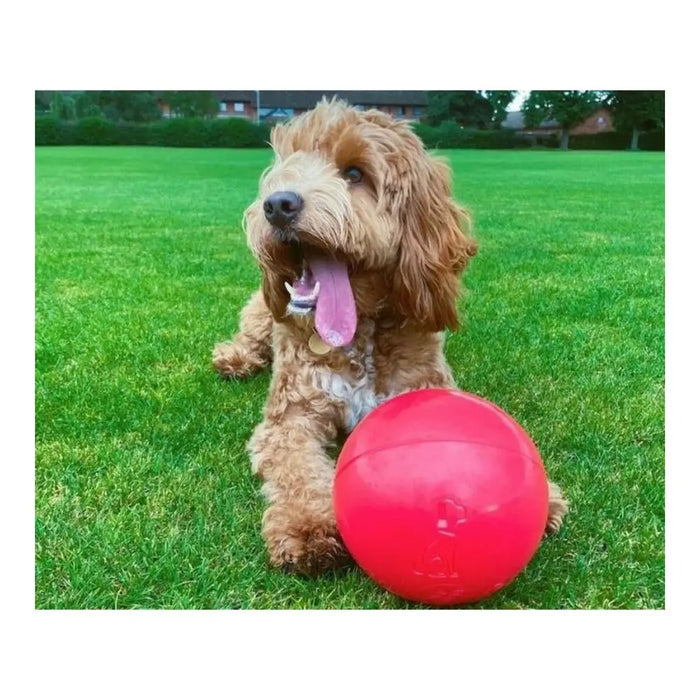 Dog toy Company of Animals Boomer Polyethylene 250mm - Домашни Животни<<<Дом Градина<<<BigBuy&&&Играчки<<<Домашни