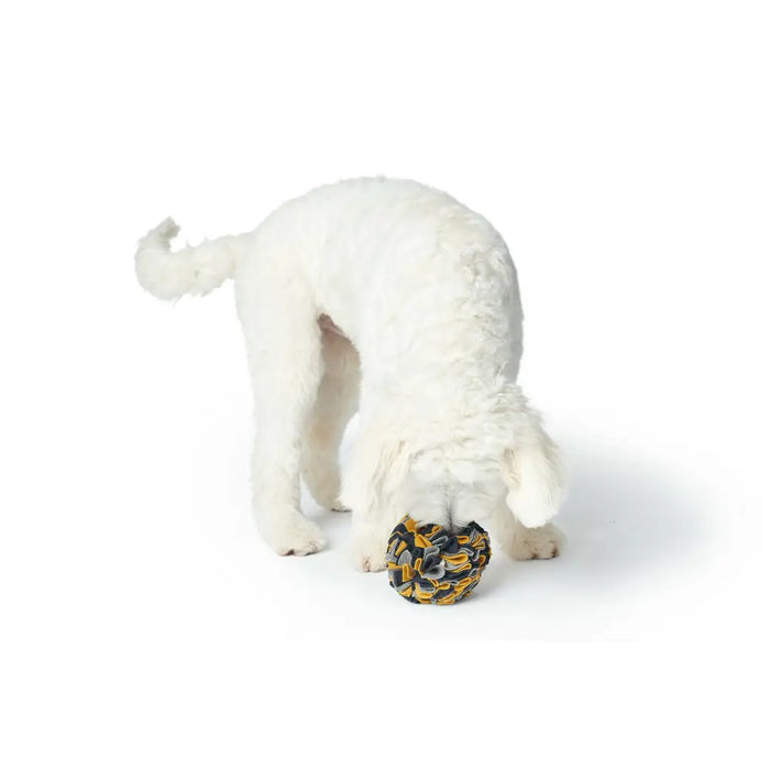 Dog toy Hunter - Домашни Животни<<<Дом Градина<<<BigBuy&&&Играчки<<<Домашни Животни<<<Дом Градина<<<BigBuy