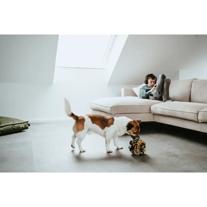 Dog toy Hunter - Домашни Животни<<<Дом Градина<<<BigBuy&&&Играчки<<<Домашни Животни<<<Дом Градина<<<BigBuy