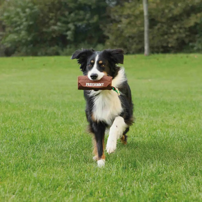 Dog toy Trixie - Домашни Животни<<<Дом Градина<<<BigBuy&&&Играчки<<<Домашни Животни<<<Дом Градина<<<BigBuy