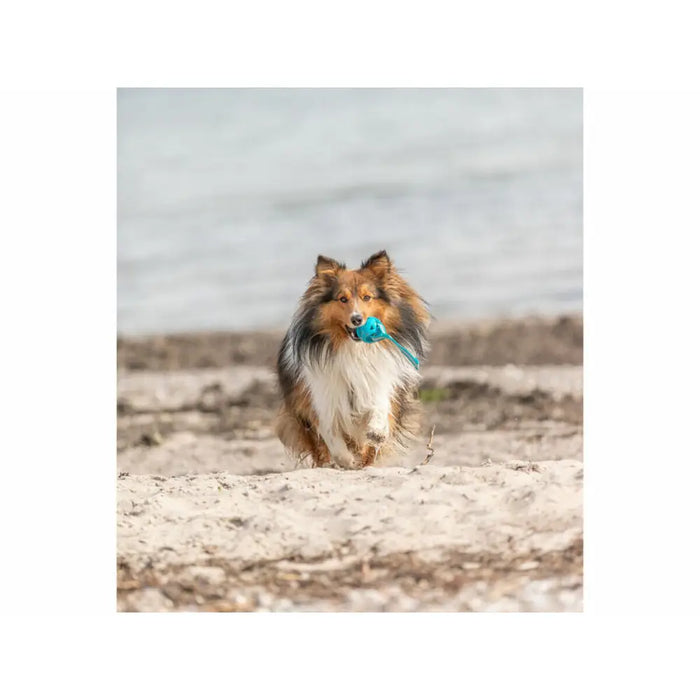 Dog toy Trixie Turquoise ø 6 x 23 cm Ball - Домашни Животни<<<Дом Градина<<<BigBuy&&&Играчки<<<Домашни Животни<<<Дом