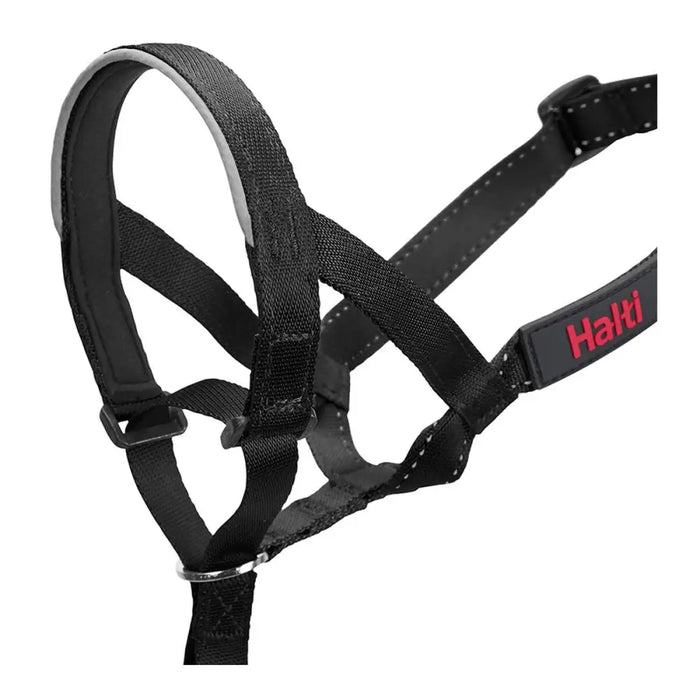 Dog Training Collars Company of Animals Halti Black Muzzle (31-40 cm) - Домашни Животни<<<Дом