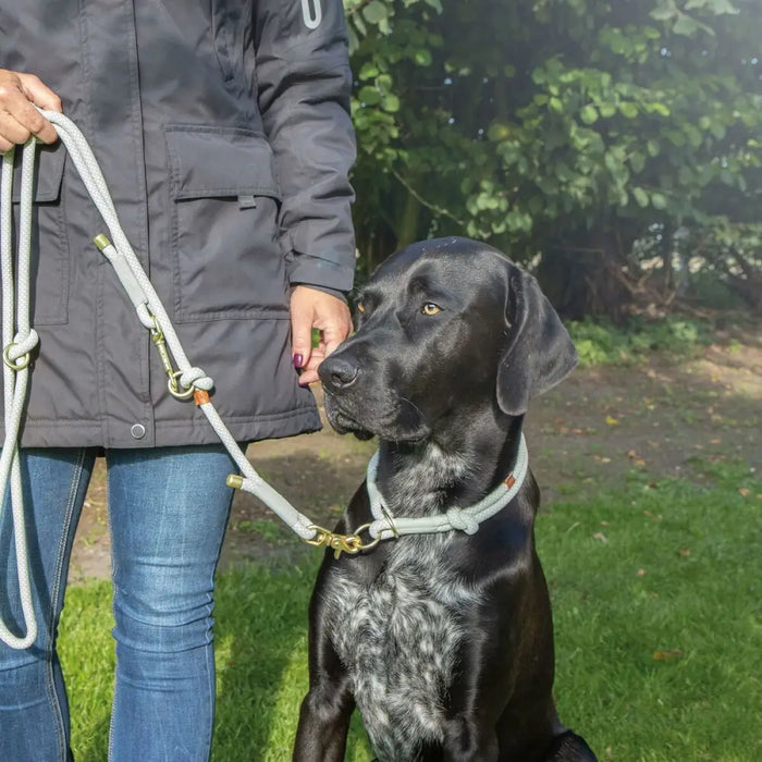 Dog Training Collars Trixie Soft Rope Pink L 50 cm - Домашни Животни<<<Дом Градина<<<BigBuy&&&Пътуване и