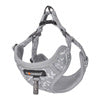 Dogness walking set leash 1,5m + harness for dog (light gray) - Walking and transportation<<<Pets<<<InnproXML
