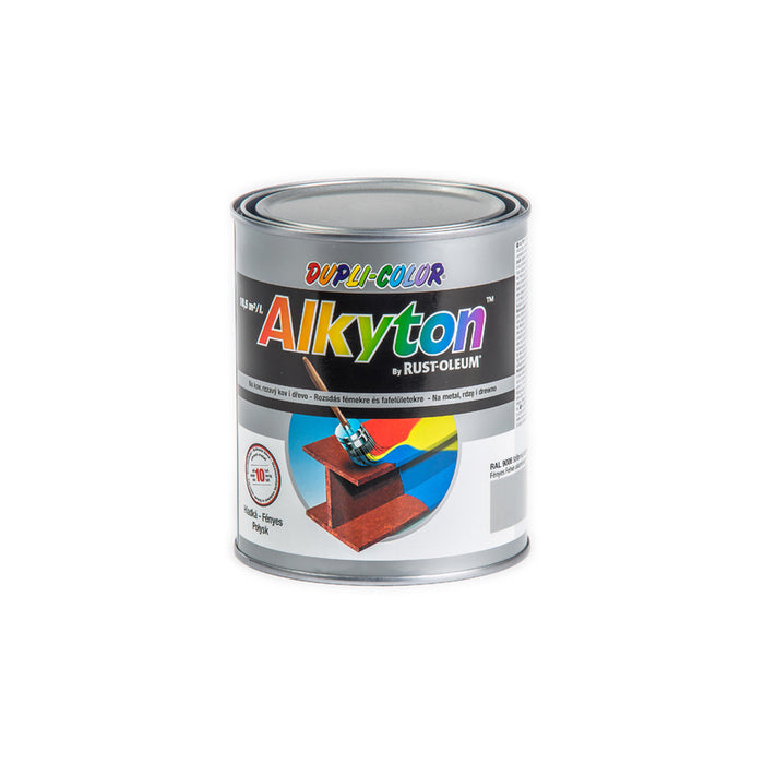 ANTI-CORROSION PAINT 4B1 ALKYTON RAL 9006 DUPLI COLOR