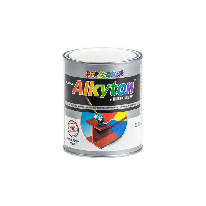 ANTI-CORROSION PAINT 4B1 ALKYTON RAL 9010 DUPLI COLOR