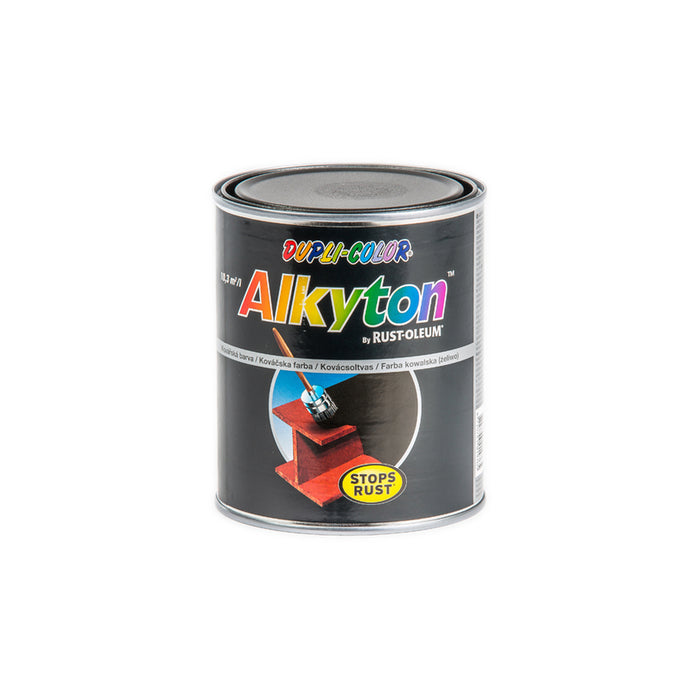 ANTI-CORROSION PAINT 4B1 WROUGHT IRON DUPLI COLOR