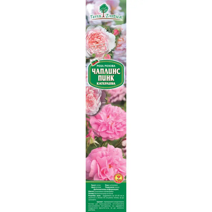 EKZOTIKA ROSE ROOT - Корени<<<Външни растения<<<Градина<<<Praktiker