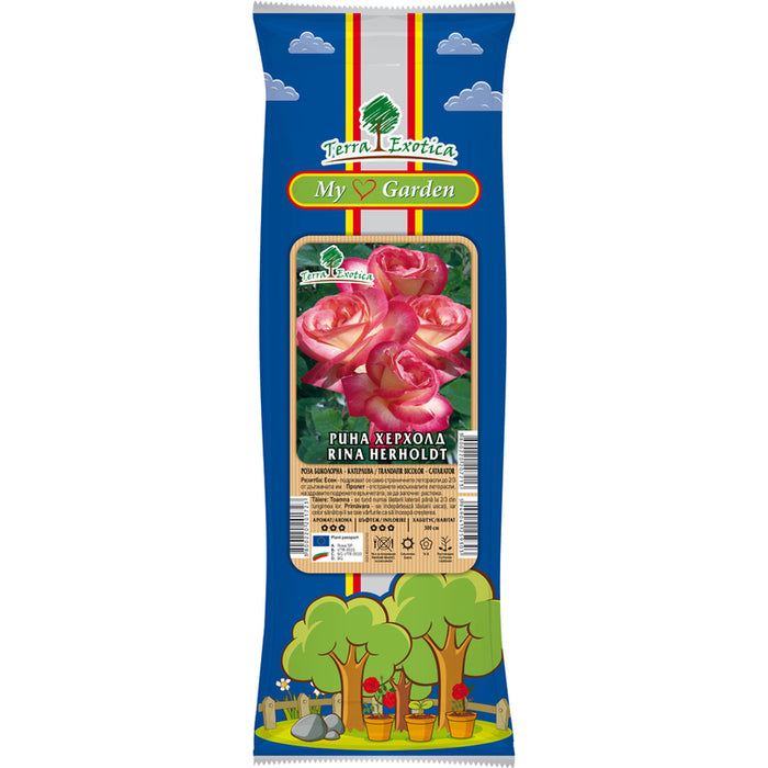 EKZOTIKA CATERPILLAR ROSE ROOT