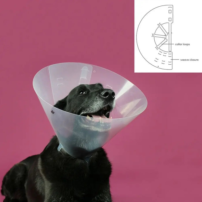 Elizabethan Dog Collar KVP Betsy Transparent (45-56 cm) - Домашни Животни<<<Дом Градина<<<BigBuy&&&Здраве и