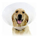 Elizabethan Dog Collar KVP Check Transparent (43-57 cm) - Домашни Животни<<<Дом Градина<<<BigBuy&&&Здраве и