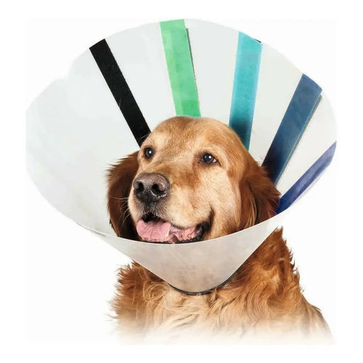 Elizabethan Dog Collar KVP EZ Clear (25-32 cm) - Домашни Животни<<<Дом Градина<<<BigBuy&&&Здраве и хигиена<<<Домашни