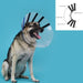 Elizabethan Dog Collar KVP EZ Clear (25-32 cm) - Домашни Животни<<<Дом Градина<<<BigBuy&&&Здраве и хигиена<<<Домашни