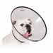 Elizabethan Dog Collar KVP Saf-T-Clear (38-63 cm) - Домашни Животни<<<Дом Градина<<<BigBuy&&&Здраве и хигиена<<<Домашни