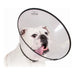 Elizabethan Dog Collar KVP Saf-T-Clear Transparent (30-76 cm) - Домашни Животни<<<Дом Градина<<<BigBuy&&&Здраве и