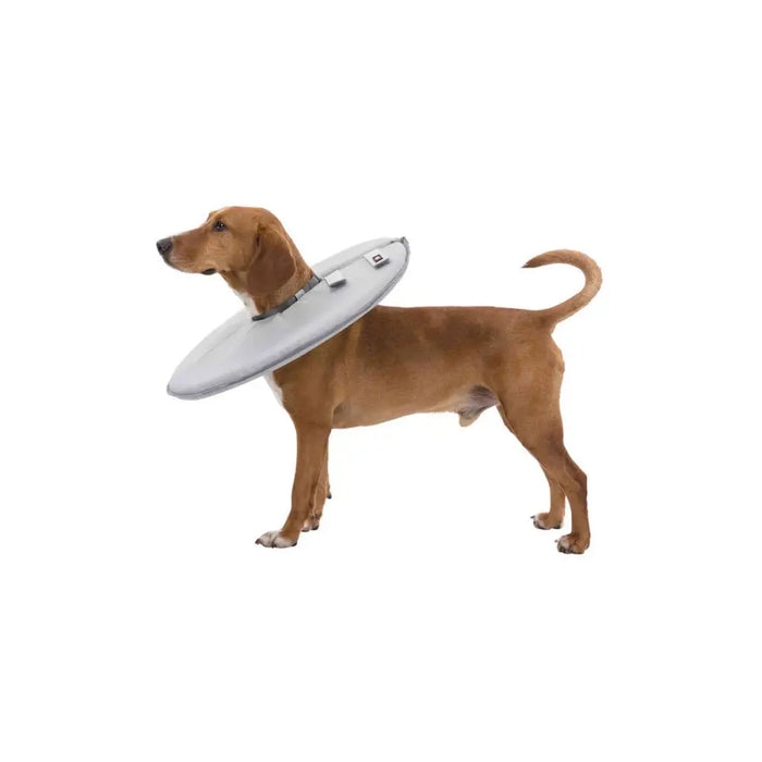 Elizabethan Dog Collar Trixie Grey (30-34 cm) - Домашни Животни<<<Дом Градина<<<BigBuy&&&Здраве и хигиена<<<Домашни