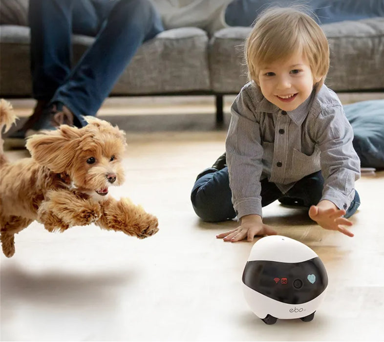 Enabot EBO SE  Robot IP Camera Compact N/A MP N/A 16GB external memory, support 256GB at maximum