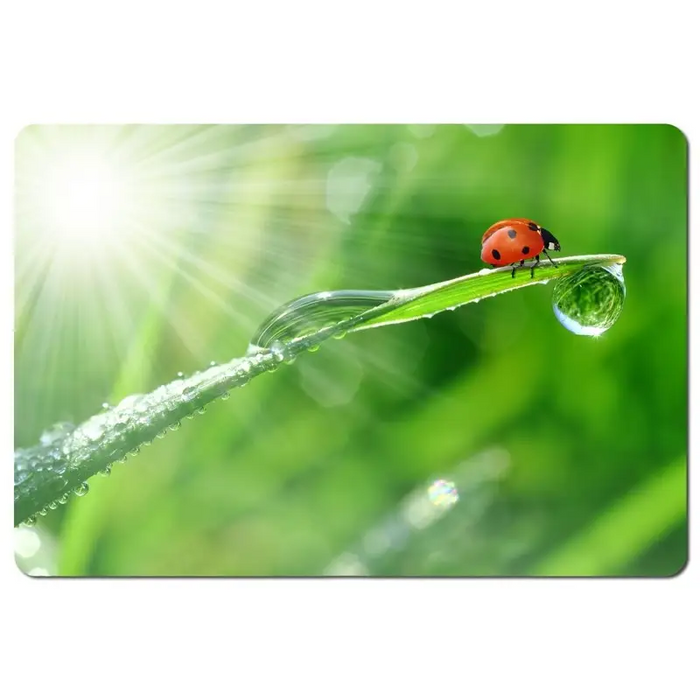 Esperanza EA133 mouse pad Multicolor - Mouse padsARB-POD<<<Office suppliesARB<<<ActionPL