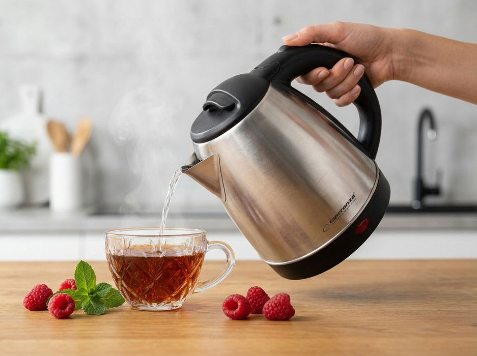 Esperanza EKK116X Electric kettle 1 L 1350 W Inox