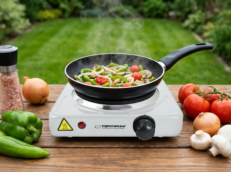 Esperanza EKH013W White Electric stove