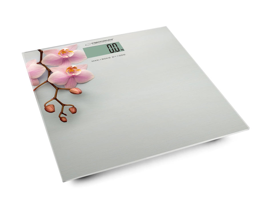 Esperanza EBS010 personal scale Electronic personal scale