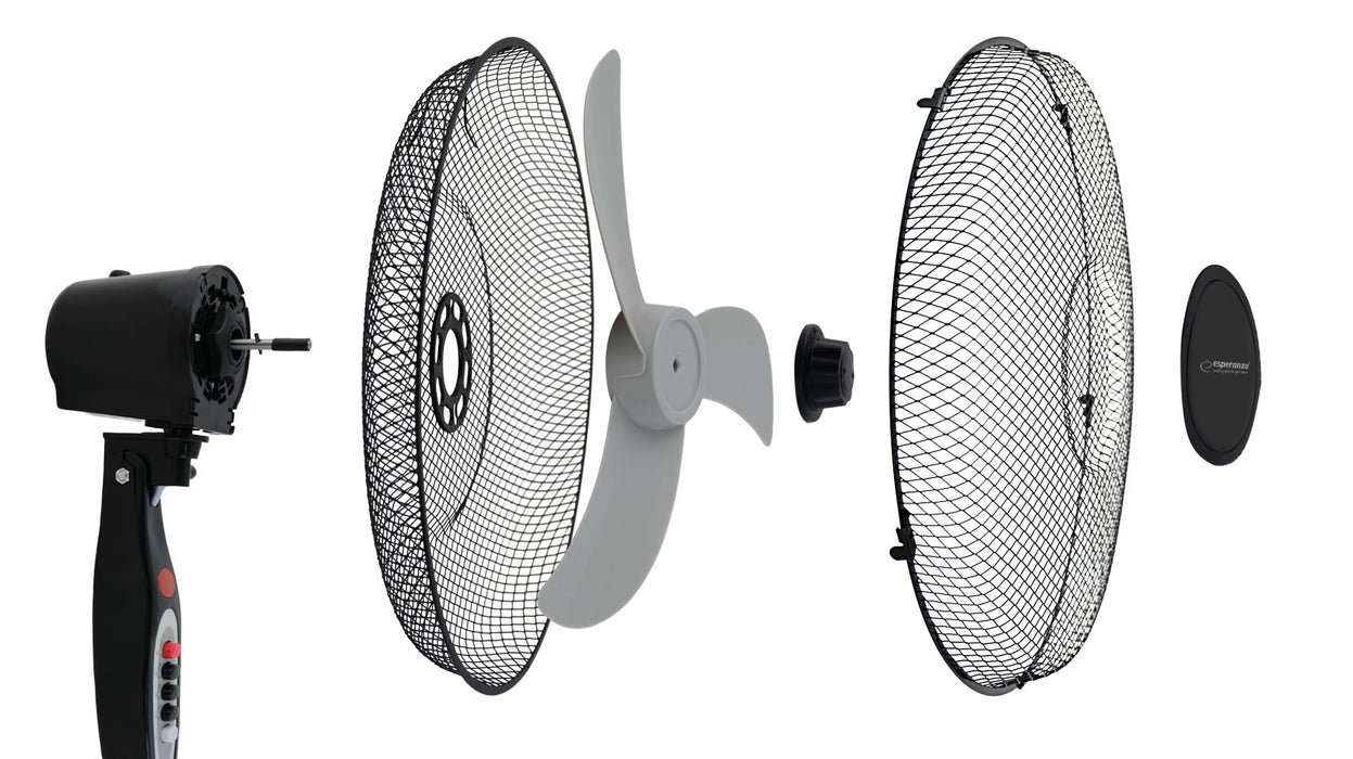 Esperanza EHF002KE, 16 '' standing fan, Black and Gray