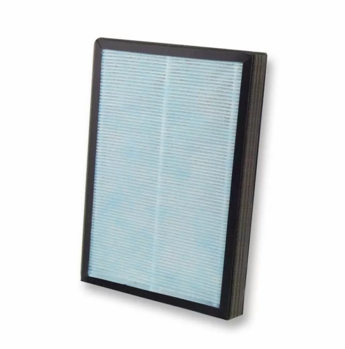 Esperanza EHP003 Bora Purifier Filter