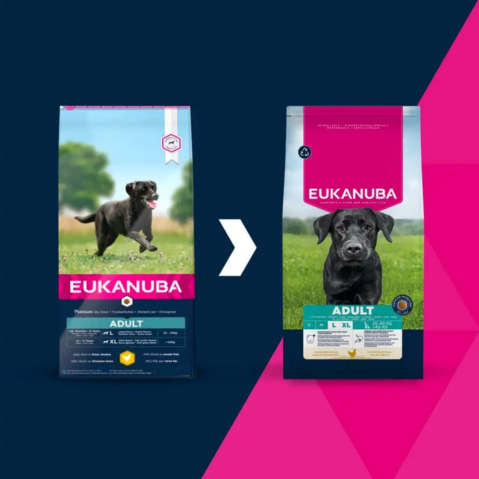 EUKANUBA Adult L XL Rich in chicken - dry dog food - 15kg - Dry foodDLP-KAS<<<For the dogDLP<<<ActionPL