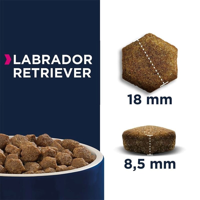 EUKANUBA Breed Specific Labrador Retriever Adult - dry dog food - 12kg