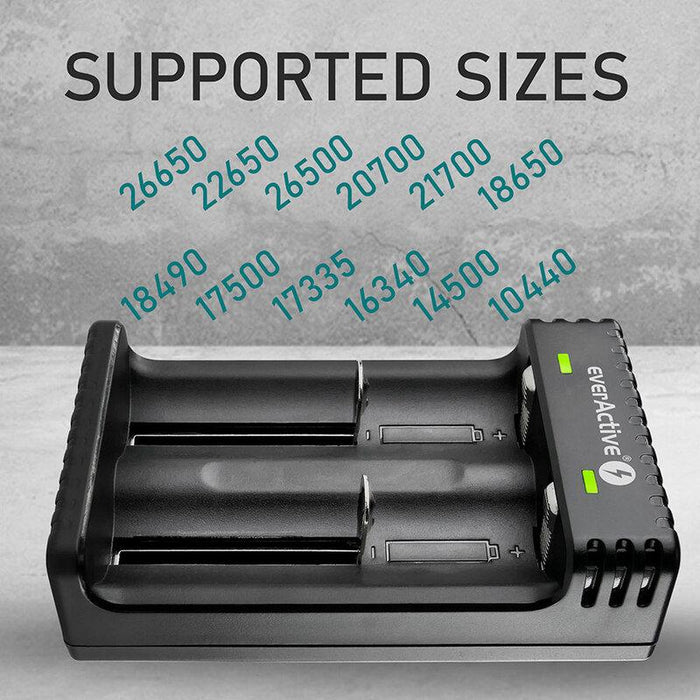 Charger for LiIon batteries 3.7v CR18650,CR123,14500 2 sockets USB micro LC-200 EverActive
