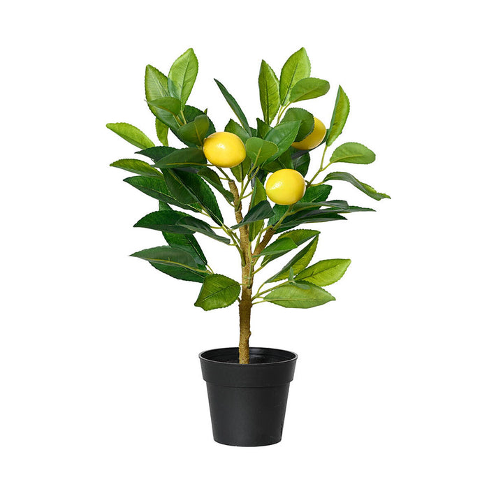 Decorative Plant Everlands Plastic Lemon tree 17 x 24 x 43 cm