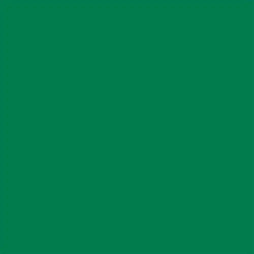 EXTRA ALKYD PAINT 650 ML RAL 6032 DEKORATOR - Алкидни и водоразтворими<<<Бои за метал и дърво<<<Бои и