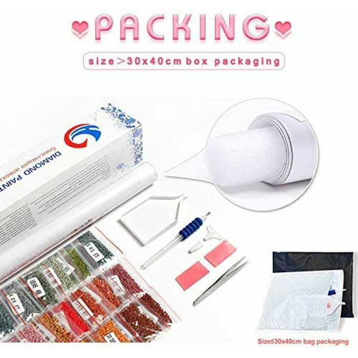 Surveillance Camcorder Ezviz CS-H6C-R105-1J5WF