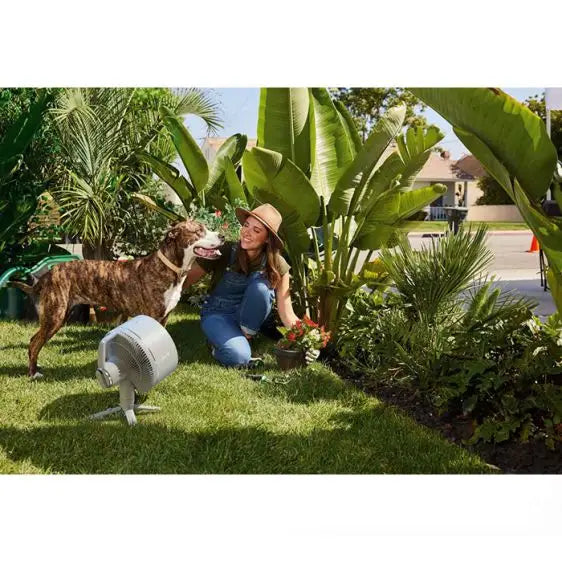 Fan SharkNinja FlexBreeze Portable Fan FA220EU - Вентилатори<<<Климатизация/Отопление<<<TechnoMix&&&Shark &