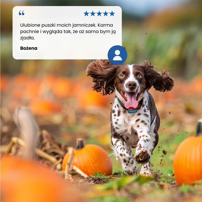 FARMINA N&D DOG LAMB&PUMPKIN&BLUEBERRY ADULT 285g
