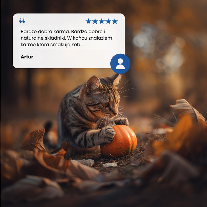 Farmina N&D Cat Lamb & Pumpkin & Blueberry  70g