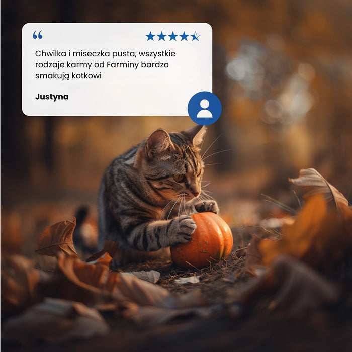 Farmina N&D Cat Lamb & Pumpkin & Blueberry  70g