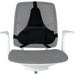 Fellowes Ergonomics professional back support pillow - Back supportsAEU-PLE<<<Articles improvng ergonomics