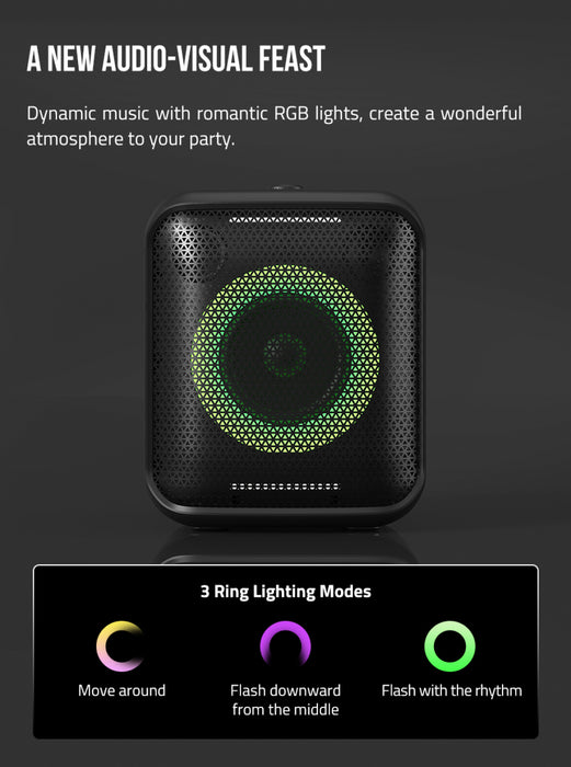 Fenda PA100 40W RMS speaker