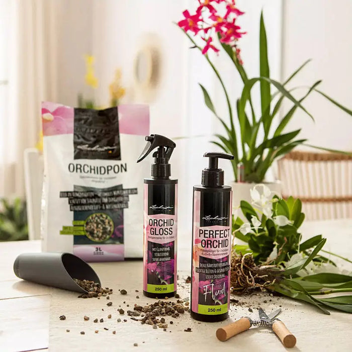FERTILIZER AND GLOSS FOR ORCHIDS 0.25L LECHUZA - Торове<<<Торове почви и тревни смески<<<Градина<<<Praktiker