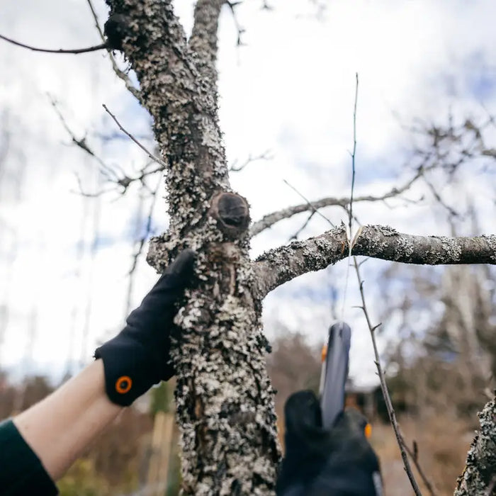 FISKARS SW69 GARDEN SAW - Триони<<<Градински ръчен инструмент<<<Инструменти и