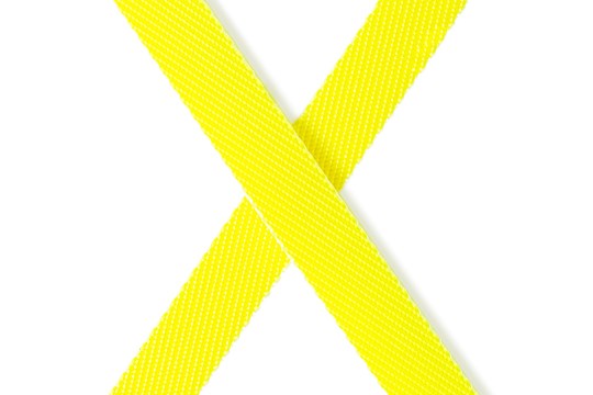 Dog Lead Flexi Giant 8 m Size M