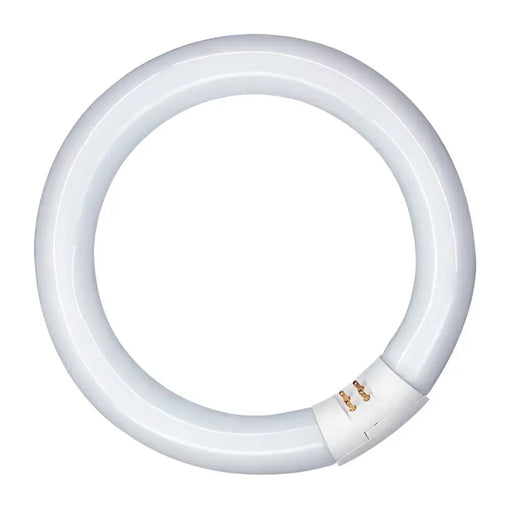 Fluorescent pipe Patron 40 W G10Q White (6500 K) - Декорация и Осветление<<<Дом Градина<<<BigBuy&&&Електрически