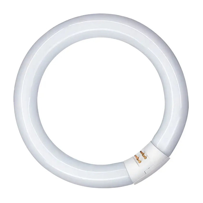 Fluorescent pipe Patron 40 W G10Q White (6500 K) - Декорация и Осветление<<<Дом Градина<<<BigBuy&&&Електрически