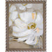 FRAMED PICTURE OF ANEMONIA FLOWERS - Картини<<<Декорации<<<Мебели и интериор<<<Praktiker