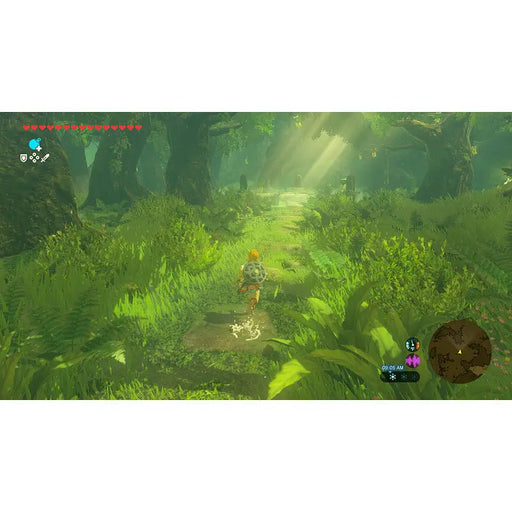 Game The Legend of Zelda: Breath of the Wild (NSW2) - Игри<<<Конзоли и аксесоари<<<ТВ Аудио Gaming<<<ZoraSite