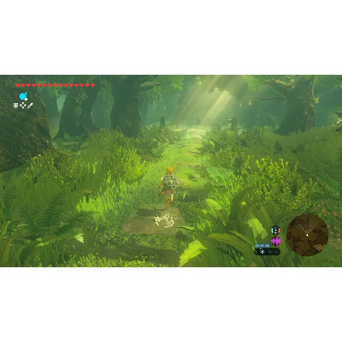 Game The Legend of Zelda: Breath of the Wild (NSW2) - Игри<<<Конзоли и аксесоари<<<ТВ Аудио Gaming<<<ZoraSite